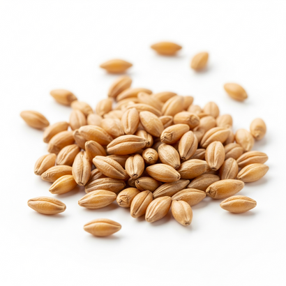 Resistant Starch